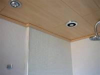 clad a ceiling