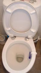 toilet seat hinge