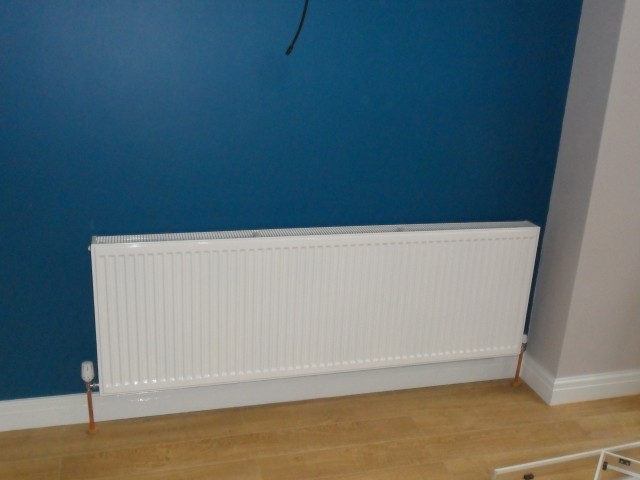 The 11,000 BTU radiator, it does the job.