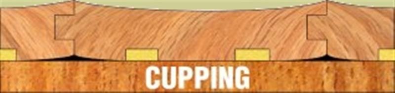 Cupping floor boards (Medium).jpg