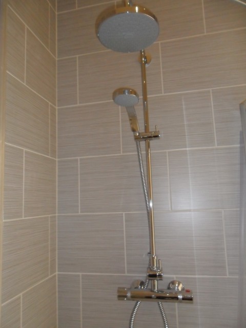 Shower fitting