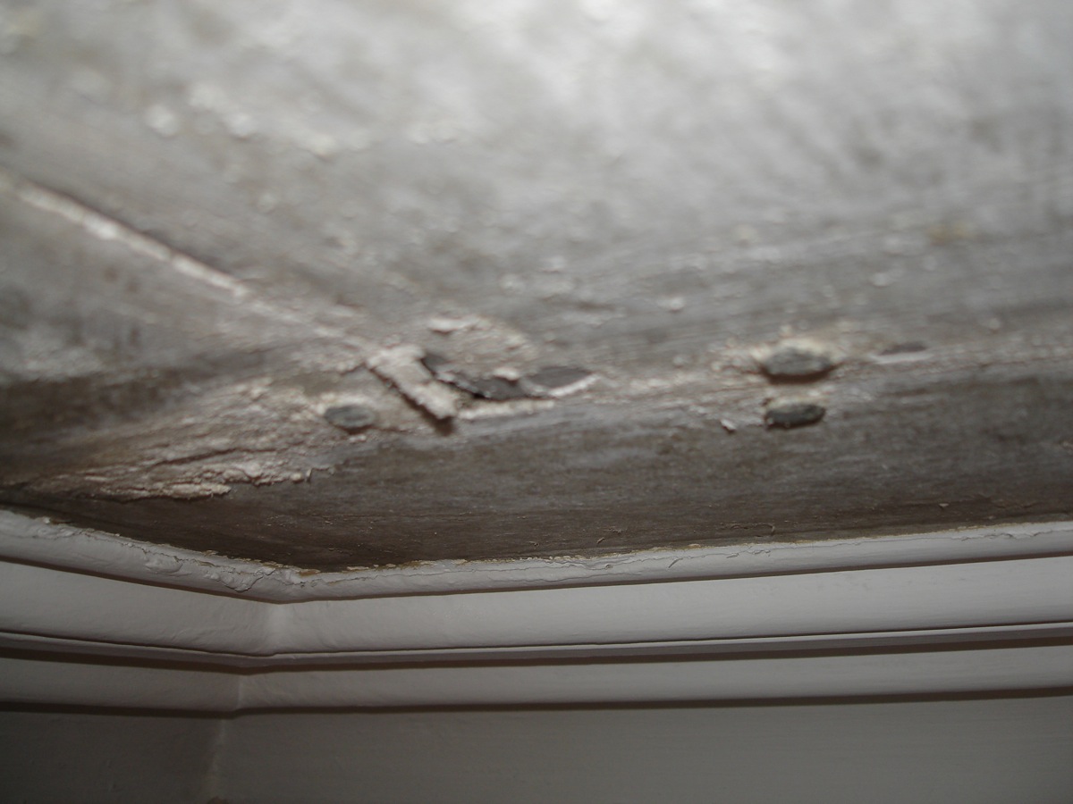 Nice flush nails in the overboarded ceiling!