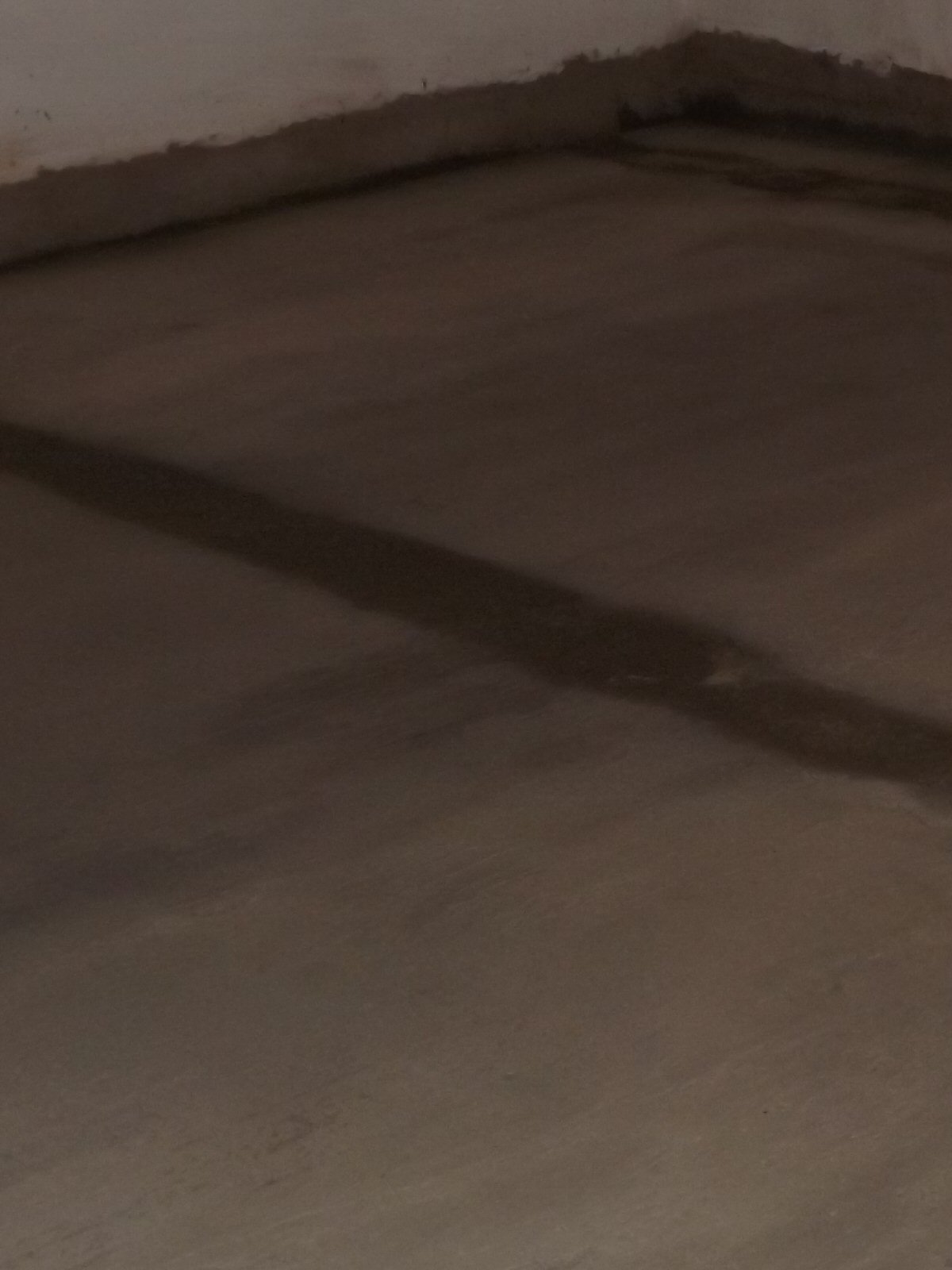 Screeded Floor - 21mm - Applied wet (2).jpg