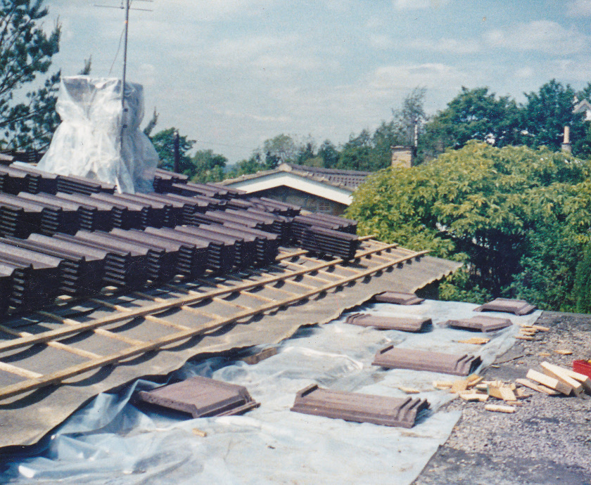 New roof 1.jpg