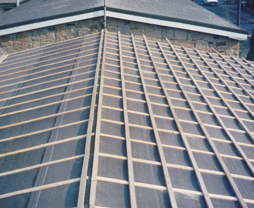 New roof 7.jpg