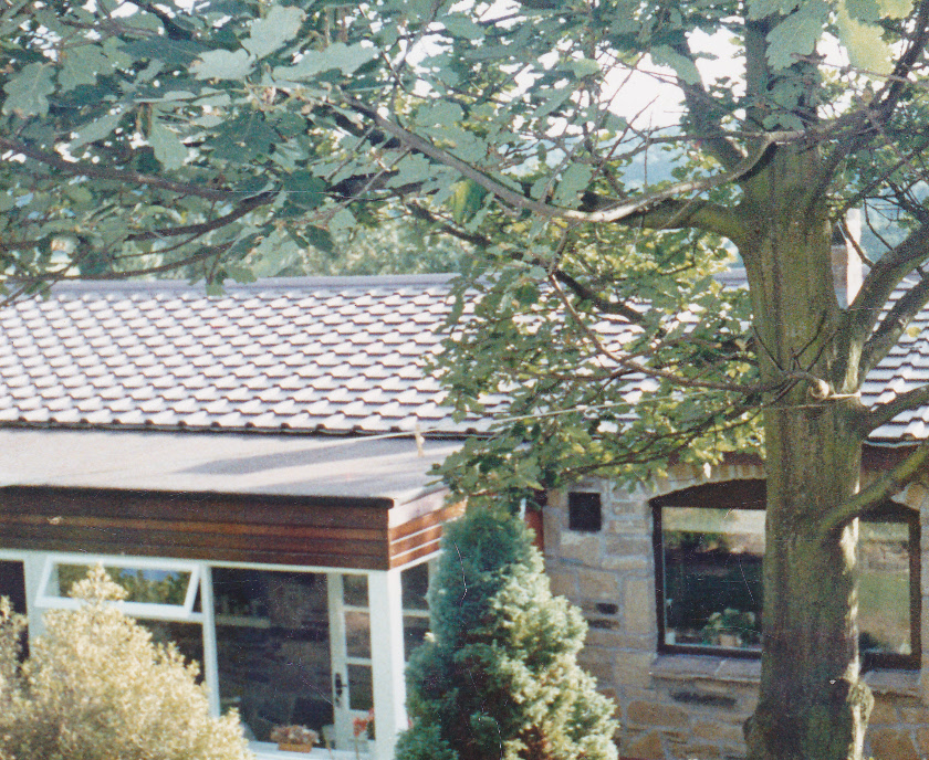 New roof 5.jpg