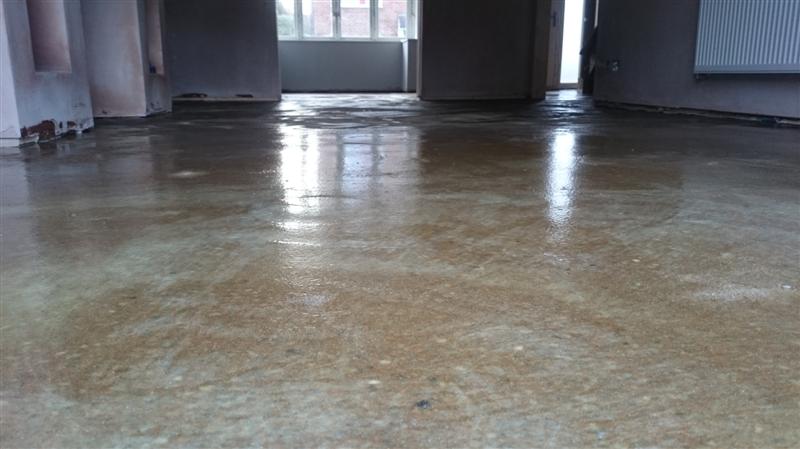 Sand blinded Ardex R3E primer (Medium).JPG