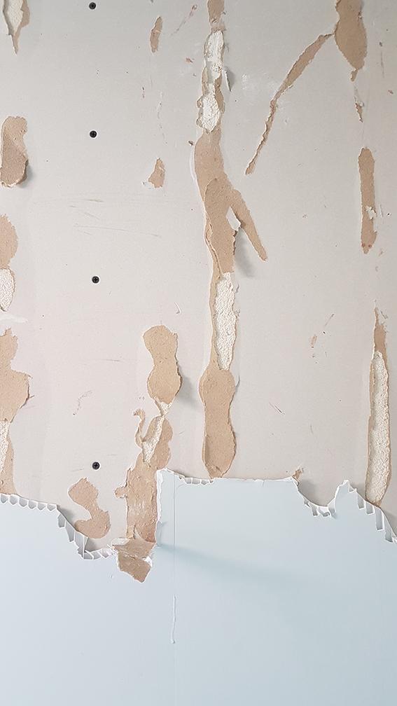 damage to plasterboard, glue has pulled off board paper