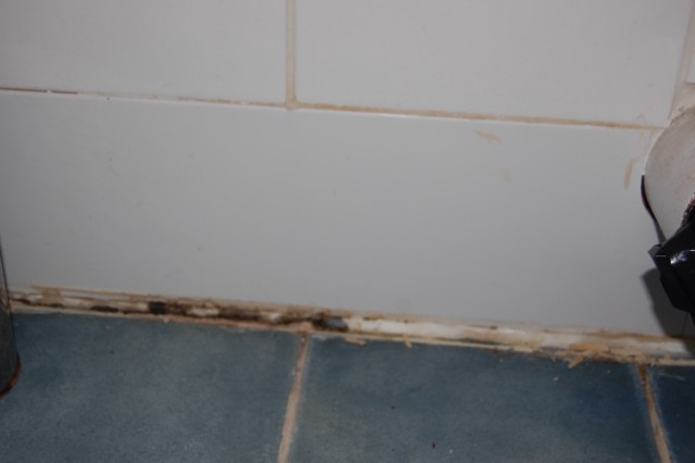 Plastic strip between floor and wall tiles.