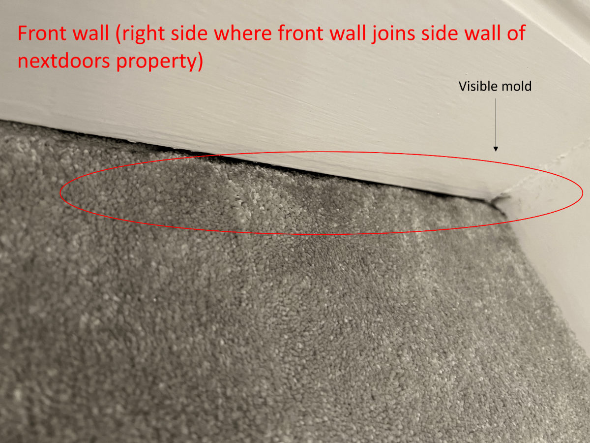 I. Bottom right inside wall of front of property_.png