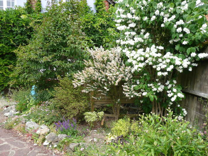 The view from the road, showing (or not showing) how the bike shed is hidden.