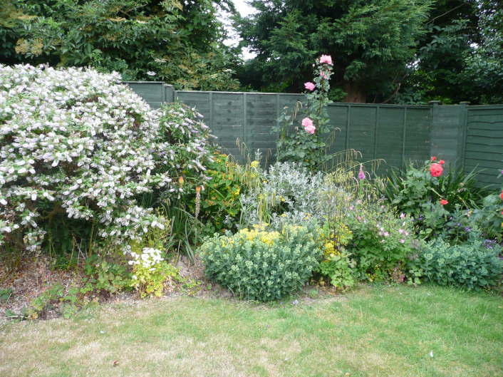 The corner of the garden as it looked before I set about it.